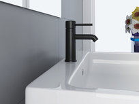 Mengkraan - Verchroomd RVS Zwart